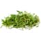 SuperMoss&#xAE; Preserved Forest Moss